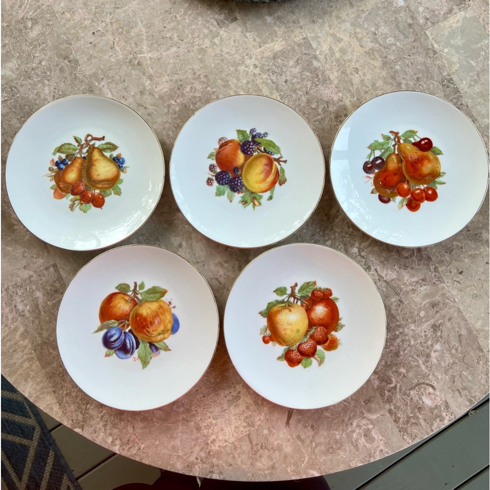 5 Fruit Themed Plates Bareuther Waldsassen Bavaria, Germany Bright, Colorful